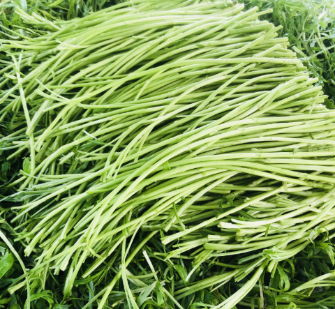 藜蒿:酷似"高富帅"版的艾草,河边常成片生长,反季节10元1斤