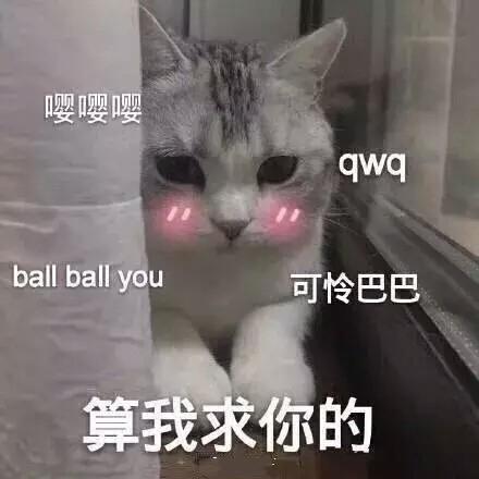 可爱猫咪的表情包我的悲伤大概有这么大