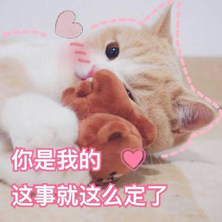 猫咪表情包撩老公系列：爱你呦、我好想你
