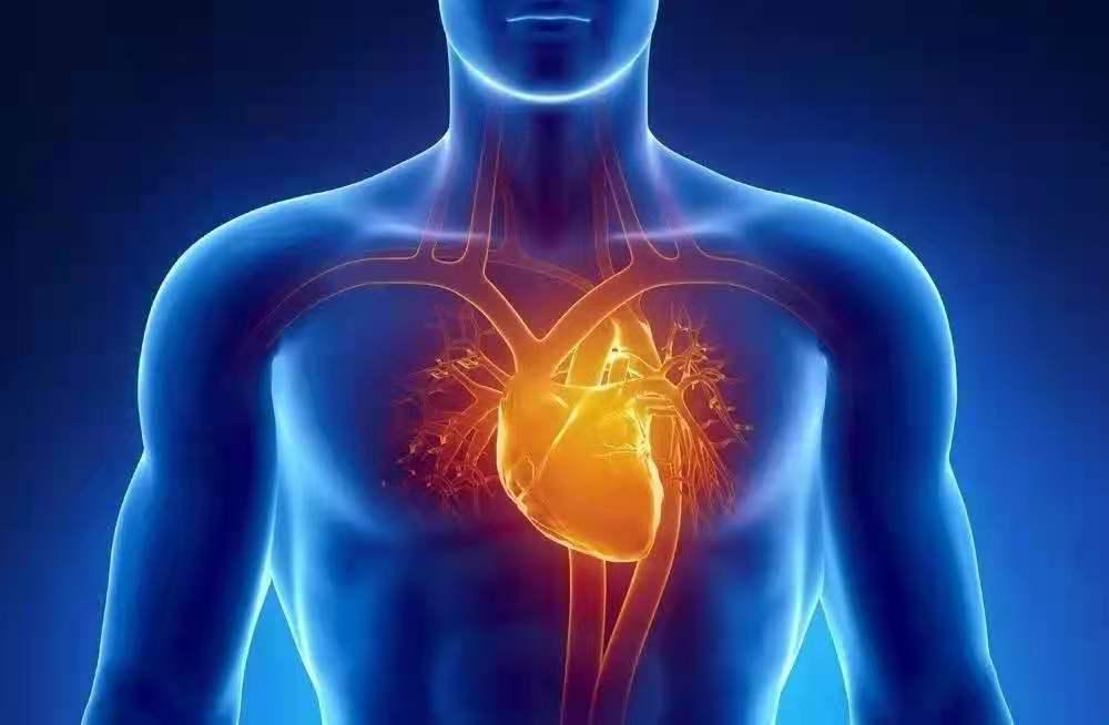 经常后背疼痛是什么原因 一招缓解腰背痛