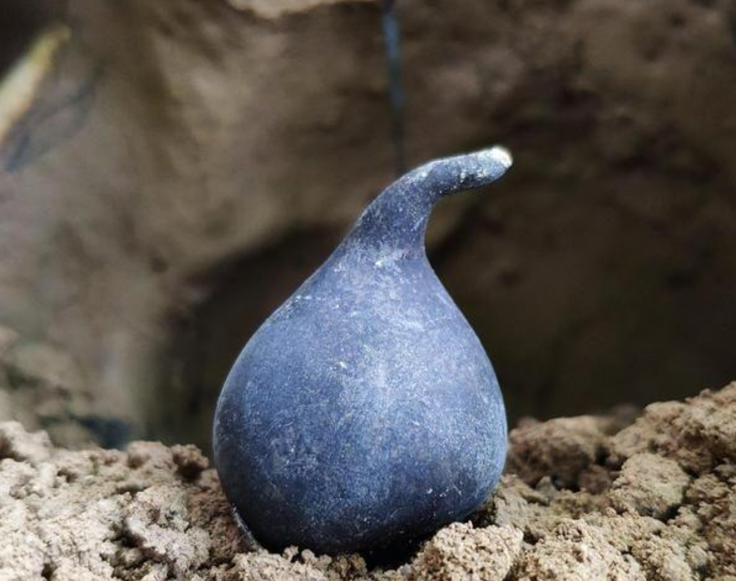 黑柄炭角菌:生于白蚁穴贵过黄金,人们挖到都不愿全卖,有何特殊