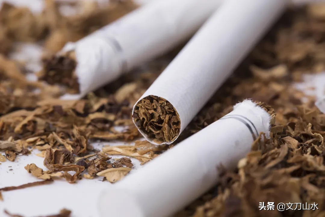专业解读 | 名场面！你见过上课抽烟的专业吗？