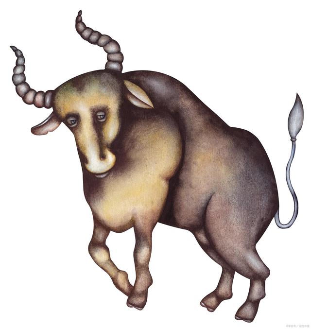 其实土象星座眼中的小幸运是这样的