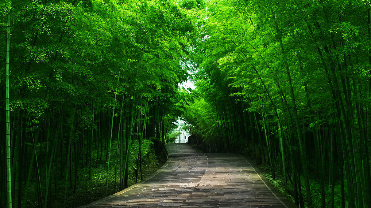 去四川宜宾旅游前必看的a级景区介绍(多图)