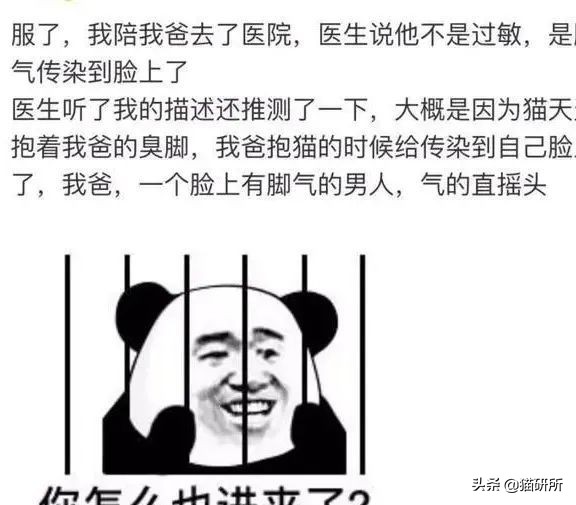 猫咪为啥沉迷吸鞋？这样会传染脚气吗？