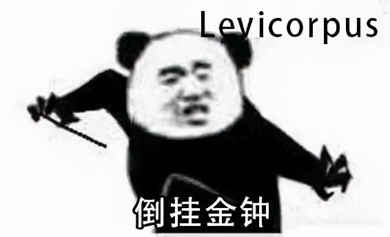 哈利波特的四个学院（哈利波特手游）