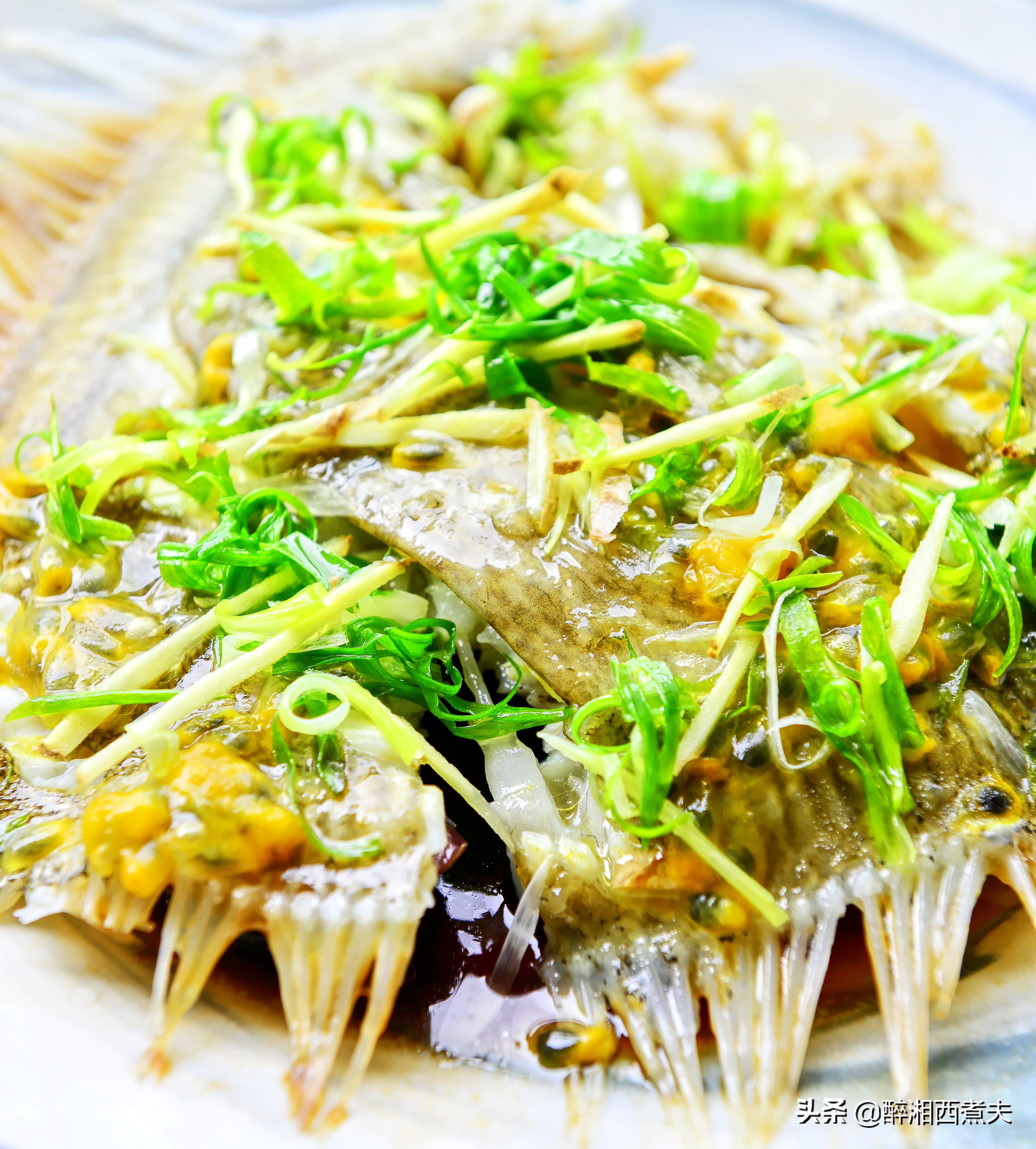 多宝鱼无鳞却很腥？一招教你轻松搞定去腥！清蒸多宝鱼鲜嫩又肥美