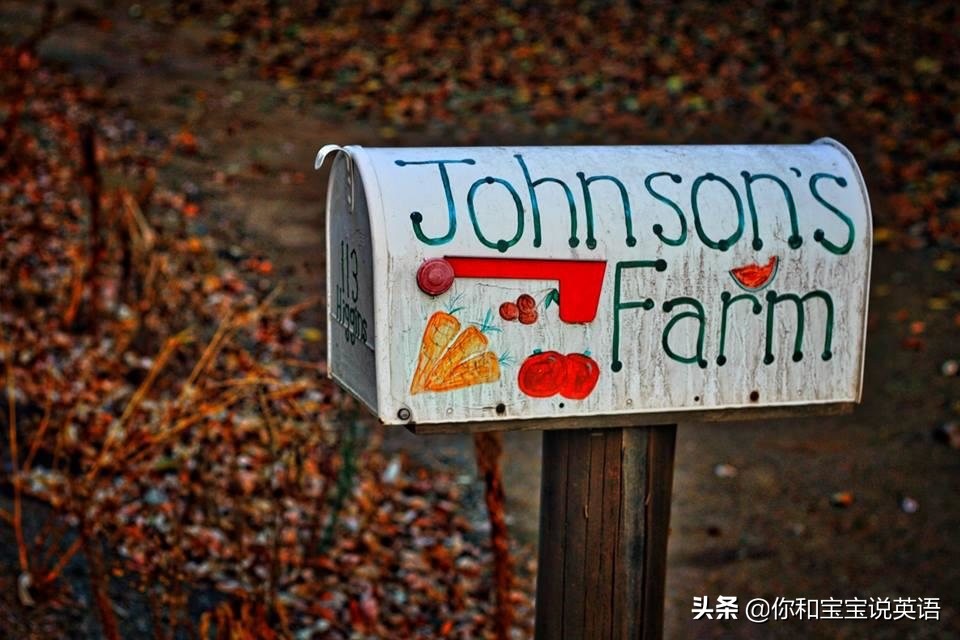 采摘亲子英文+科普—草莓蓝莓、萝卜白菜，谁长地上，谁长藤上？