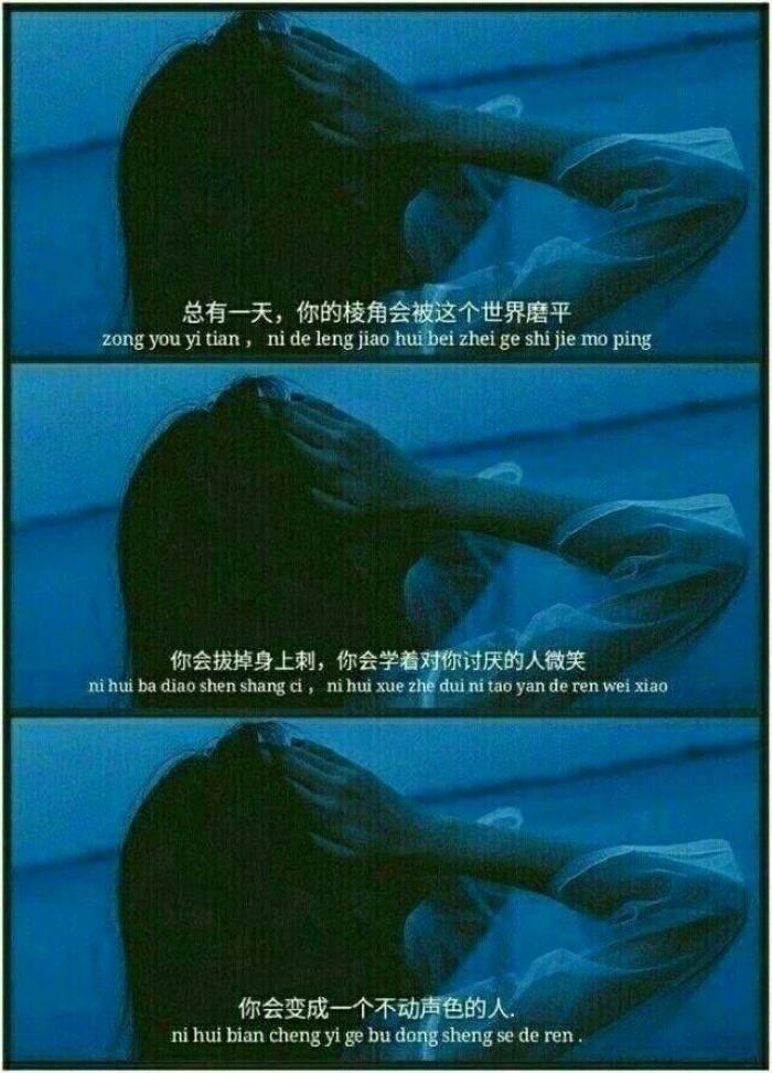 "寻寻觅觅，无人像你"