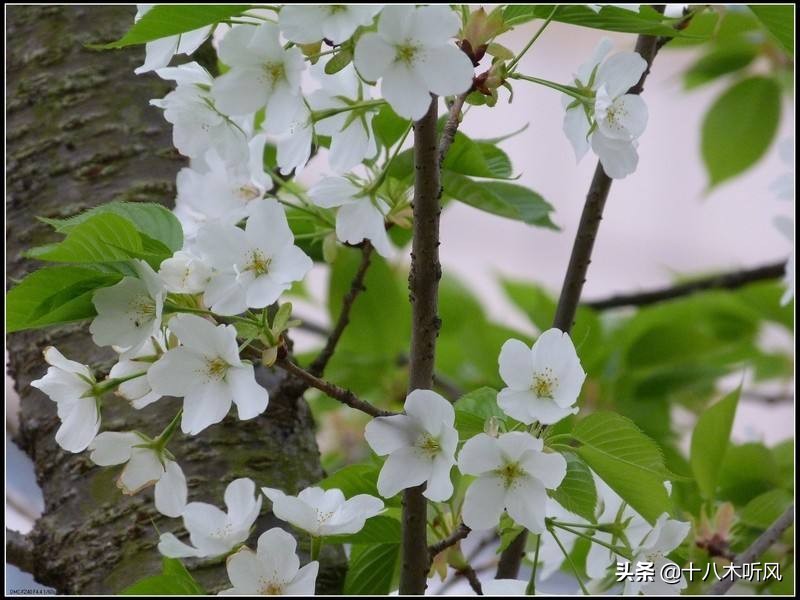 读大学做到这几点，大学时光将会成为你最美的青春记忆