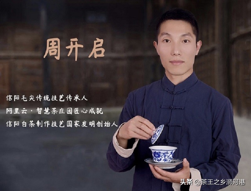信阳茶人传记-本期讲述周开启与信阳白茶的故事