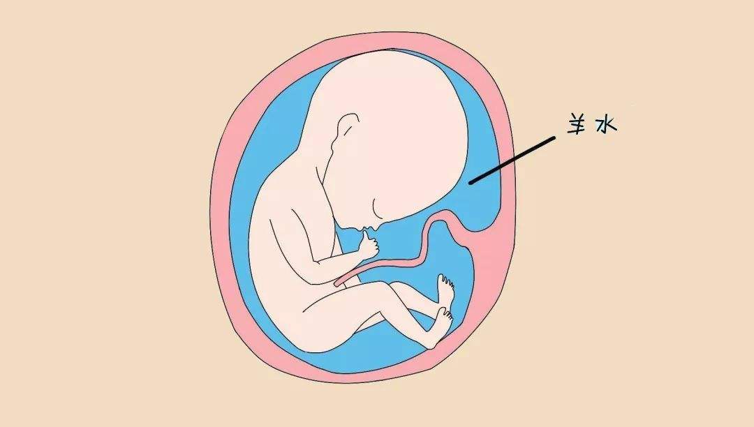 在临产前发生了胎膜破裂;另一种是宝宝未足月,在孕37周前发生了胎膜