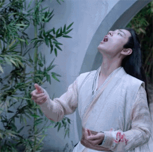 24岁“高龄”参加素人选秀，3年后出圈，2019年是肖战霸屏的一年