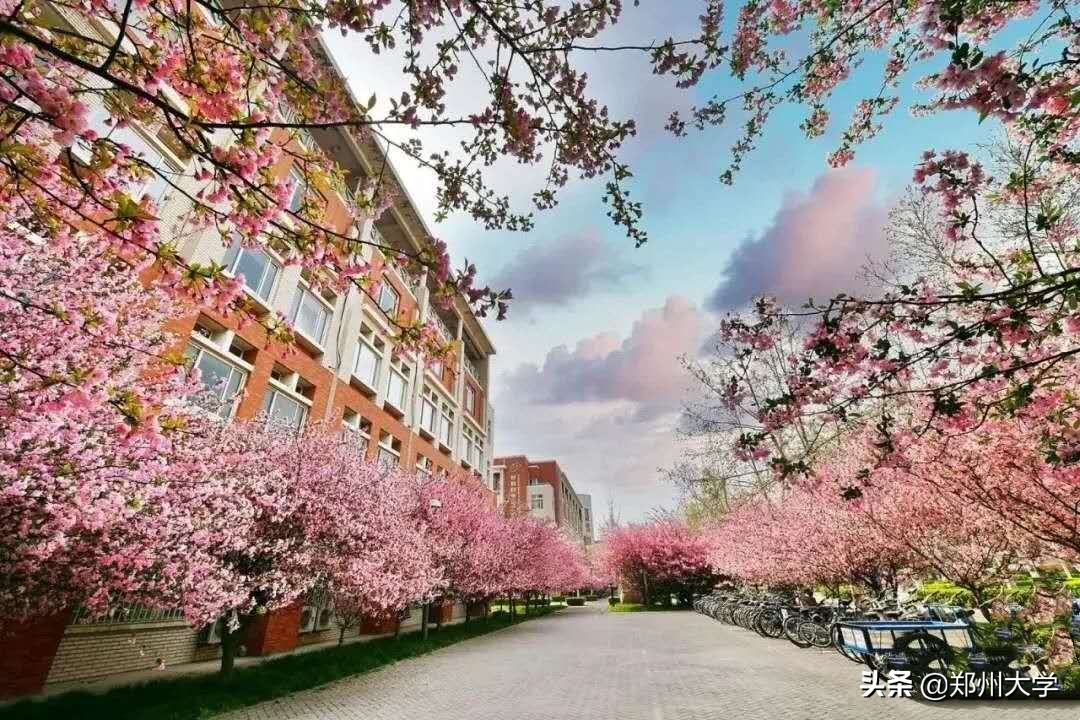 重磅!郑州大学启动博士后千人计划