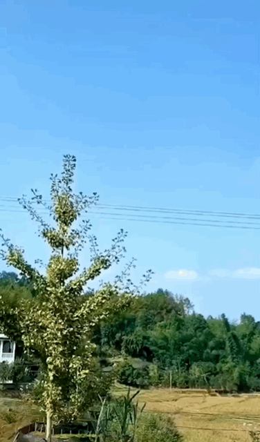 最近很火的微信状态视频背景，制作方法原来这么简单