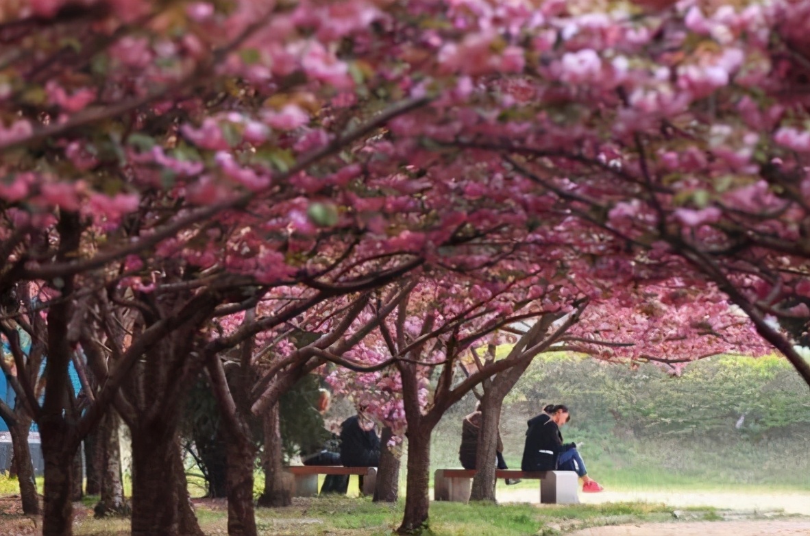 郑州大学一年四季美如画，专业实力很强进步明显，值得考生报考