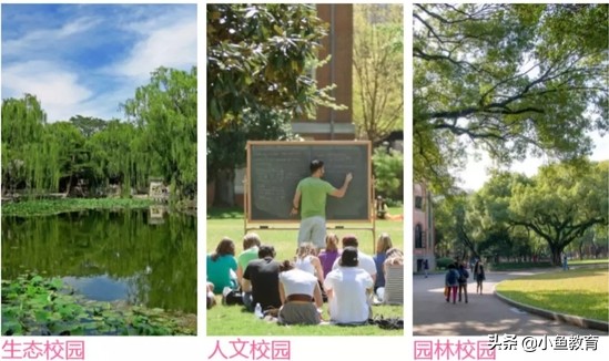 23个省中，2020年省内排名前5的大学！甘肃篇