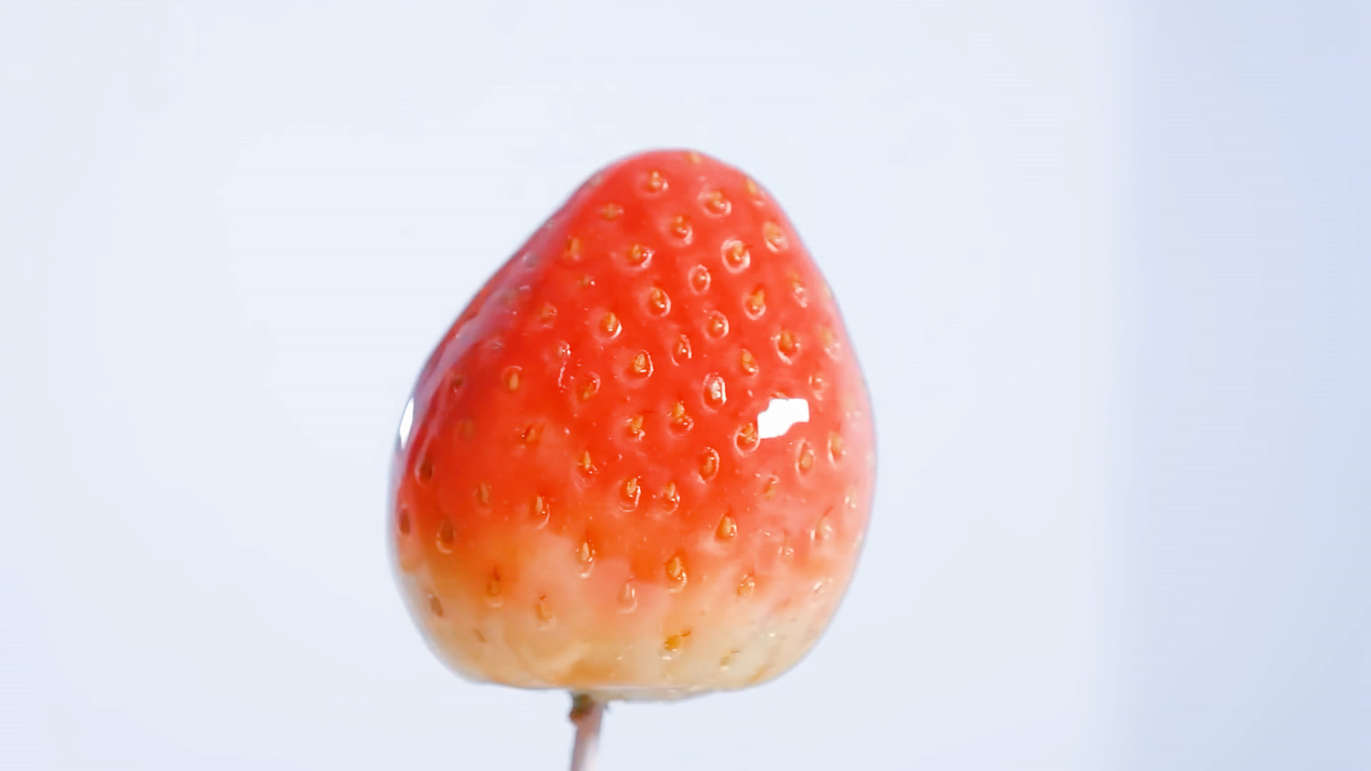 草莓桔子冰糖葫芦的做法,过年必备零食,比用山楂做的更好吃