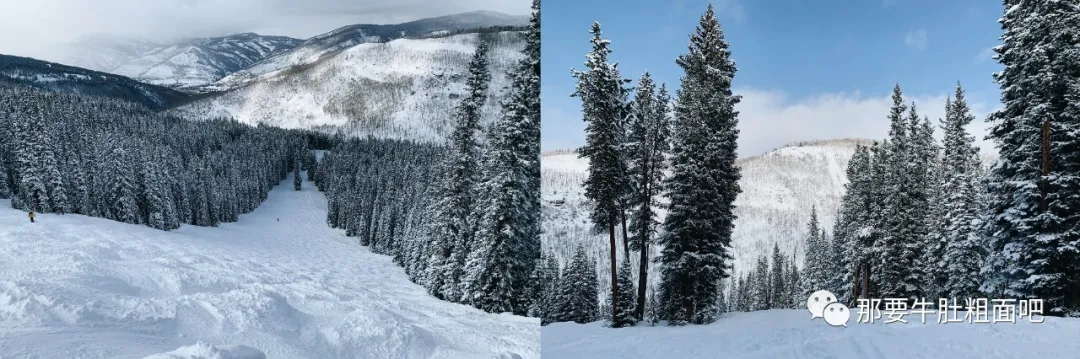 当大雪飞过那个小镇,我哪儿都不去 | 当我滑雪时我在想什么