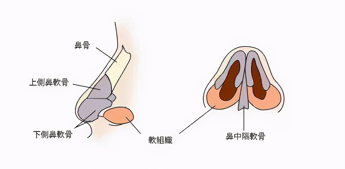 鼻子一侧骨头突出图片(鼻塞用药没效果) - 赤虎壹号