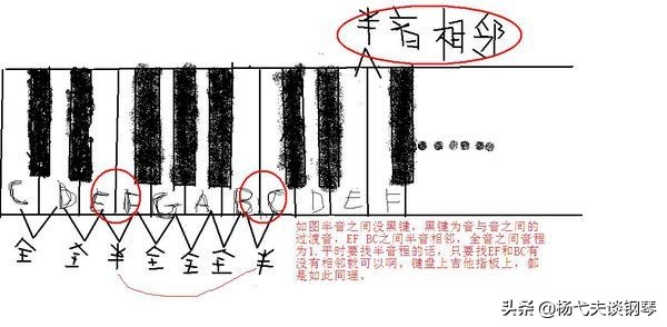 全音和半音的關係就像鋼琴鍵盤上的黑白鍵一樣.