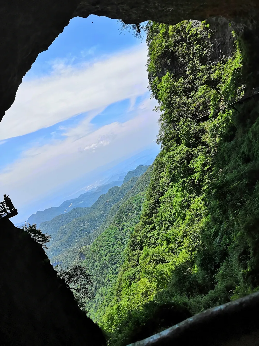 人间有味是清欢，山野竹笋试秋盘