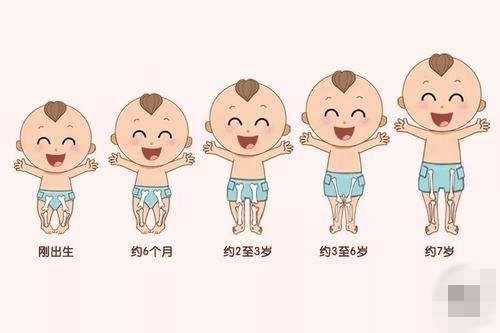 孩子腿部的发育过程