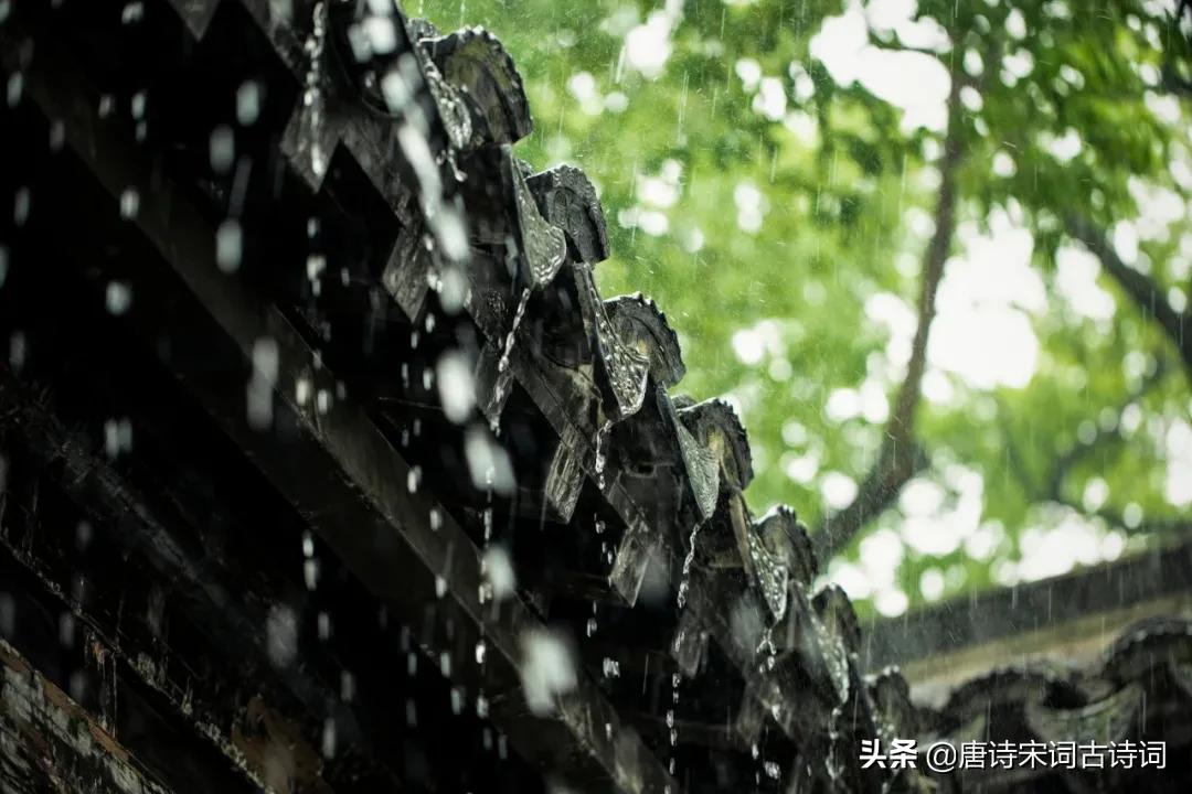 雨里有四季，雨里有年华