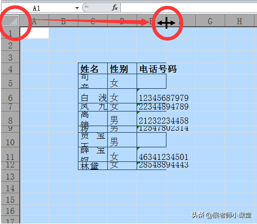 办公软件操作技巧012：如何调整excel表格的行高与列宽