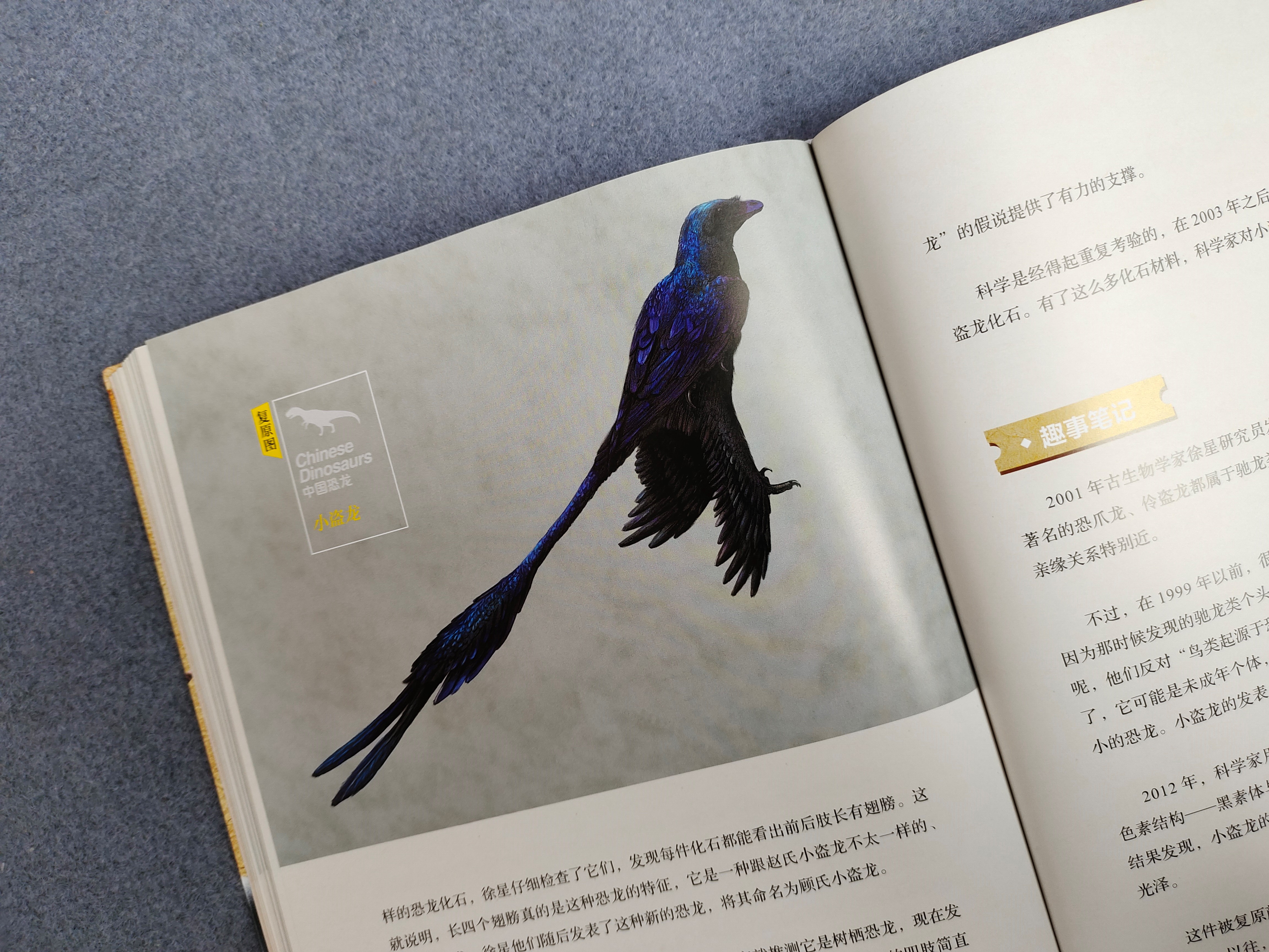《中国恐龙博物馆》：如果孩子喜欢恐龙，别错过这本中国恐龙图鉴