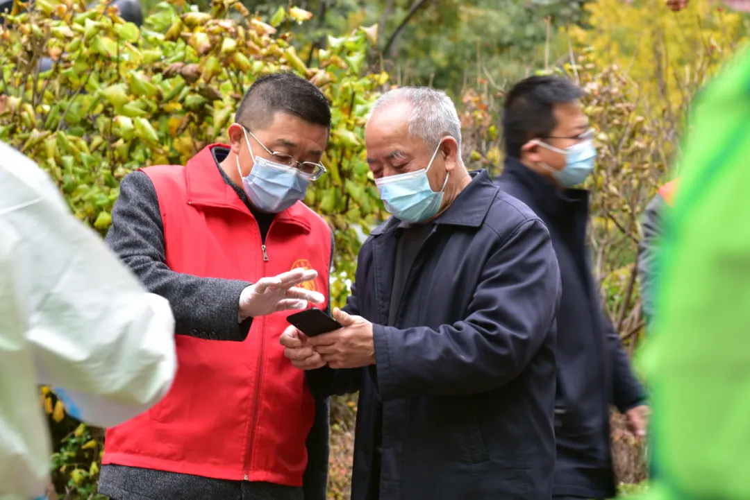 又是一年银杏黄：愿人间无恙你我皆安