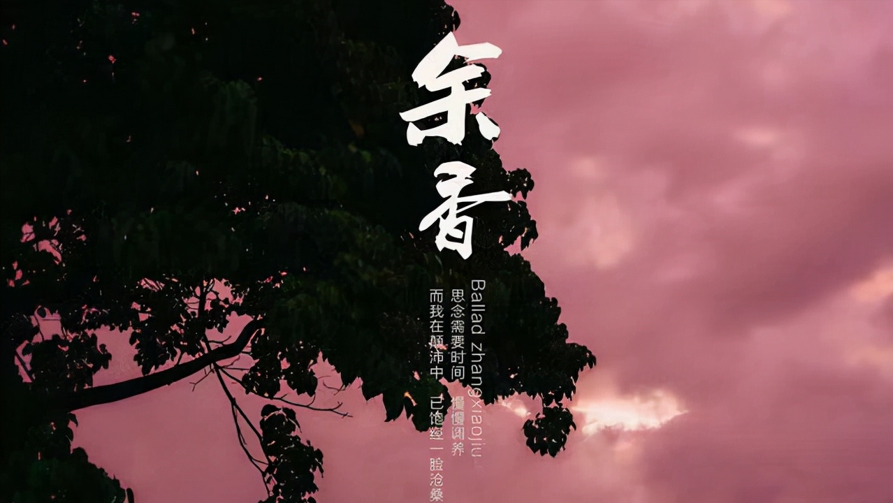 命中注定爱你，因为有你，我愿意，我只在乎你，我想就这样爱你