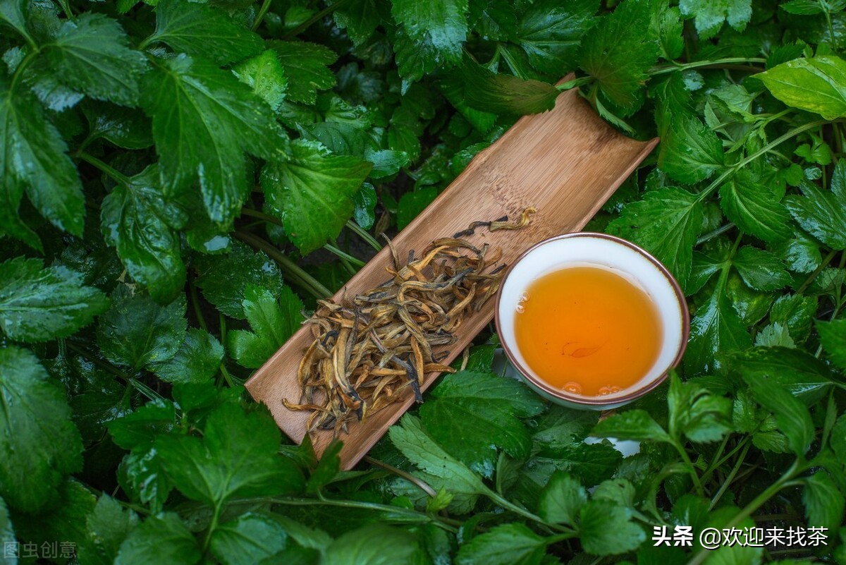 中国的五大红茶有哪些，中国最好喝的红茶是哪个