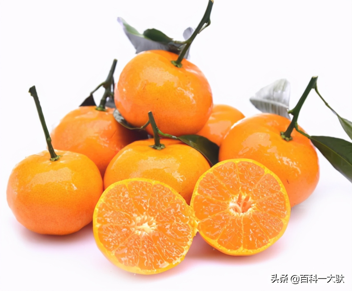 十大最好吃的橘子（柑子）介绍