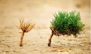 央行开启“一卡一户”时代，POS机代理商要笑了？