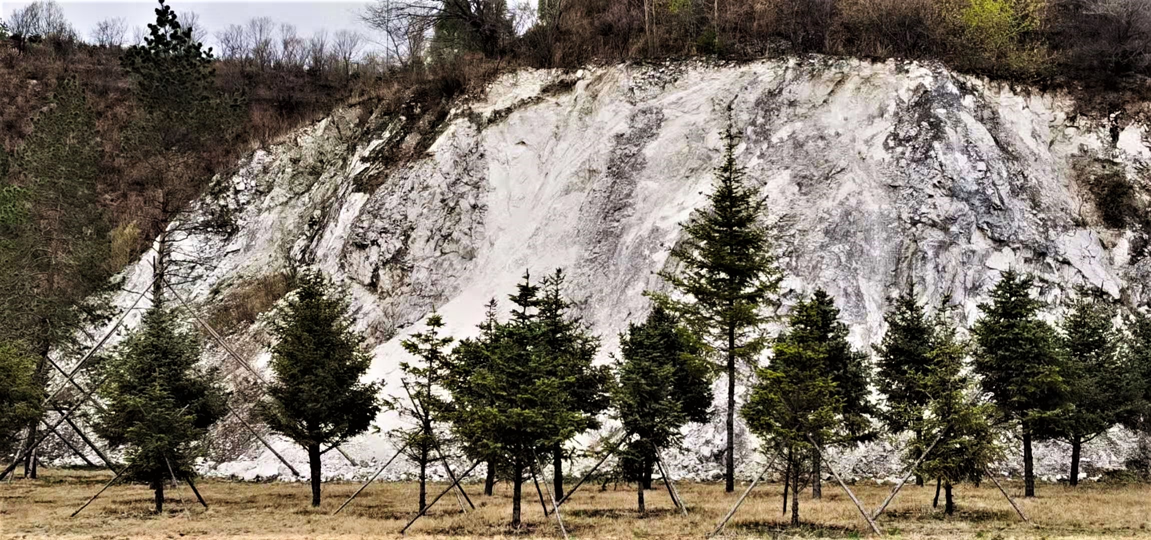 生态鹤岗100篇（57）：我眼中的北山公园