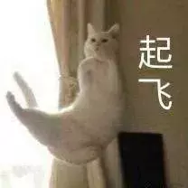 换发型=换张脸！脸大也显瘦的短发在这里