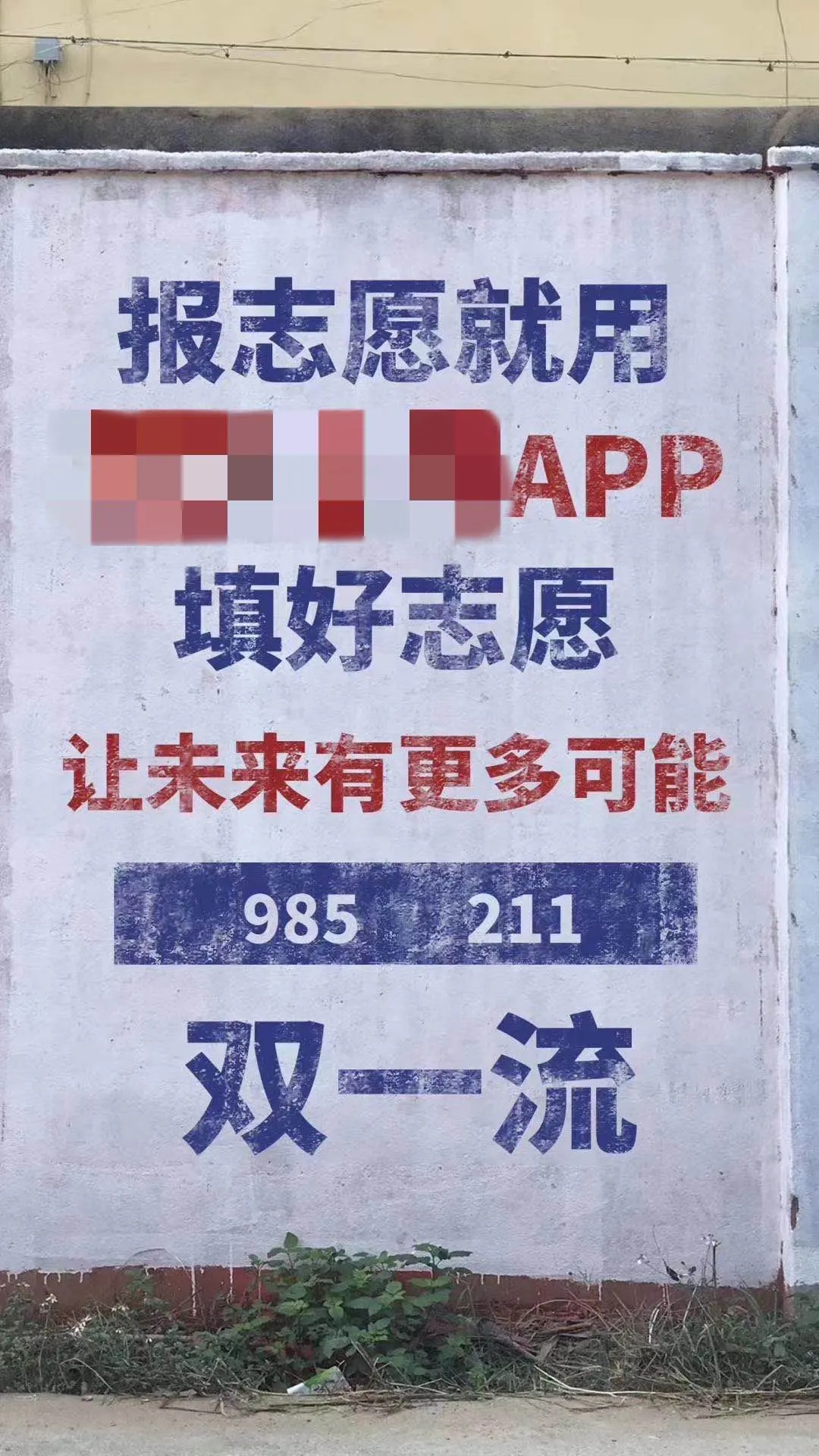 填个高考志愿,花了上万块钱