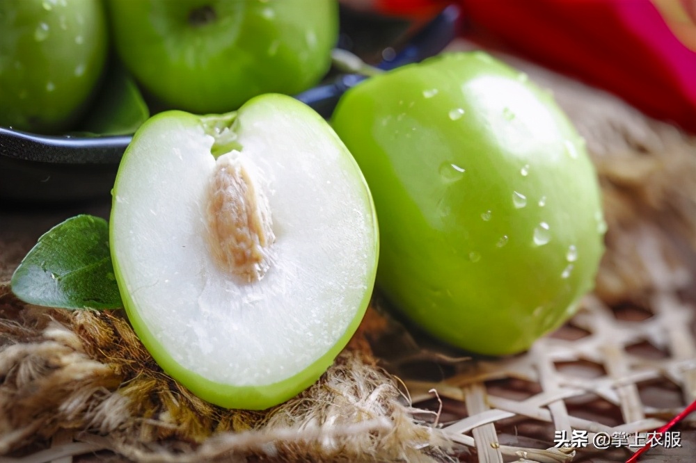 这种长得像苹果的枣，其实是青枣