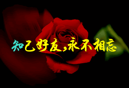 你是我今生最美的红颜，男人拥有红颜知已，心里开出一朵花来