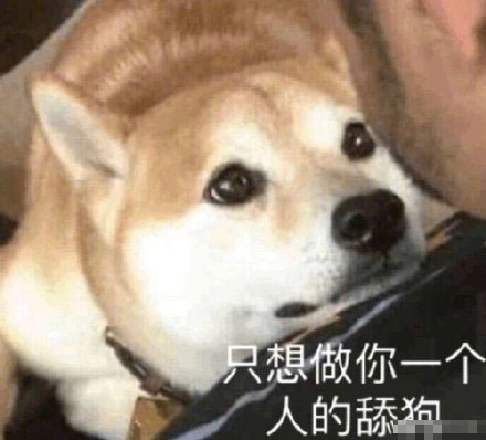 柴犬贱贱表情包18张