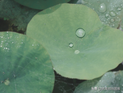 抖音上最火的下雨说说让人点赞 雨天幽默又很正能量的句子图片