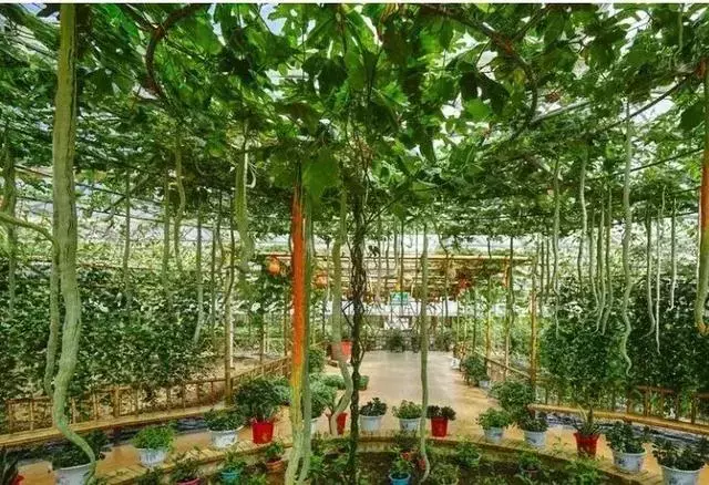 这是贵州村庄？感觉像欧洲童话小镇！春节自驾游就去这里耍！