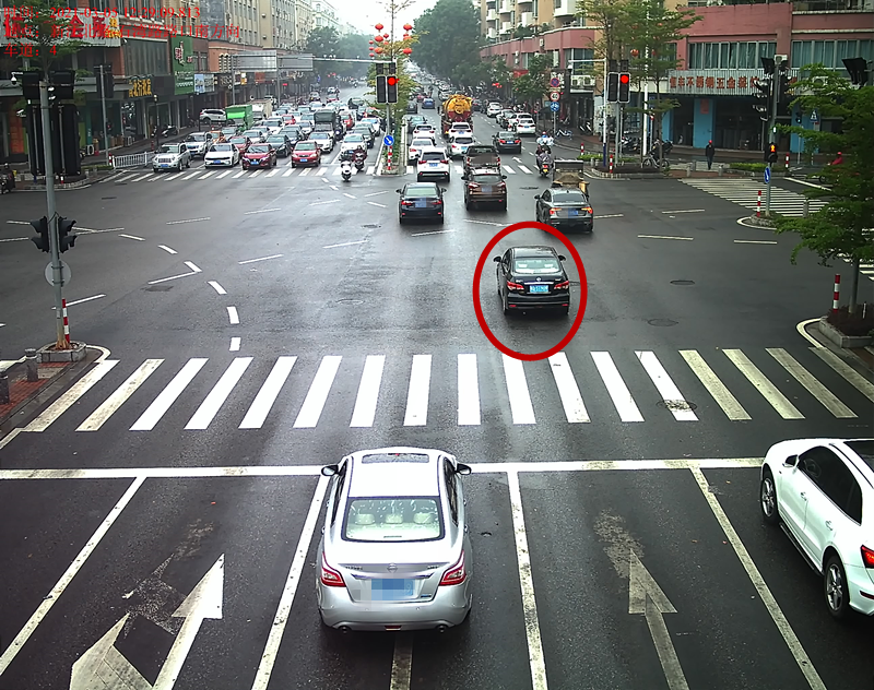 交通违法曝光！