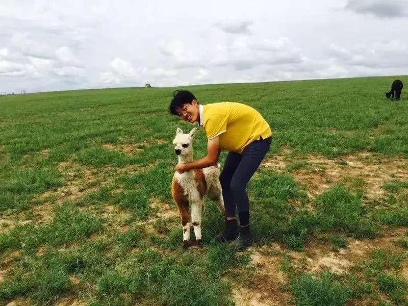 学马术为了什么？高考加分？国家一级运动员？恐怕并非想的那样