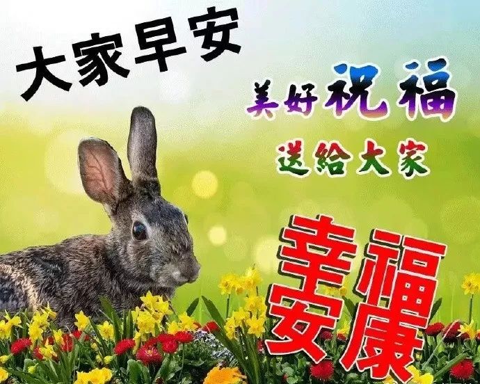 早报喜晚报财,早晨喜鹊进院来,早安,愿你紧握我的祝福
