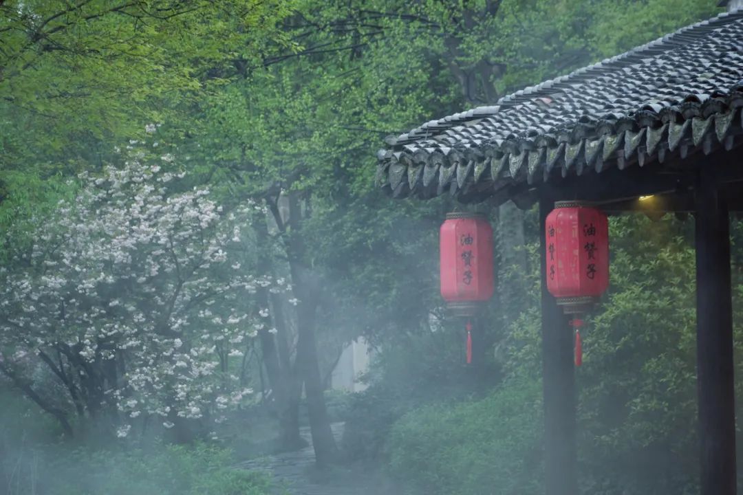 形容下雨的诗句唯美(最适合发朋友圈的30句诗词)