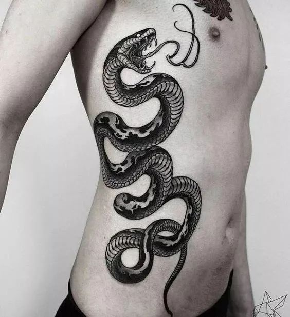 纹身图案分类第4期-动物-蛇