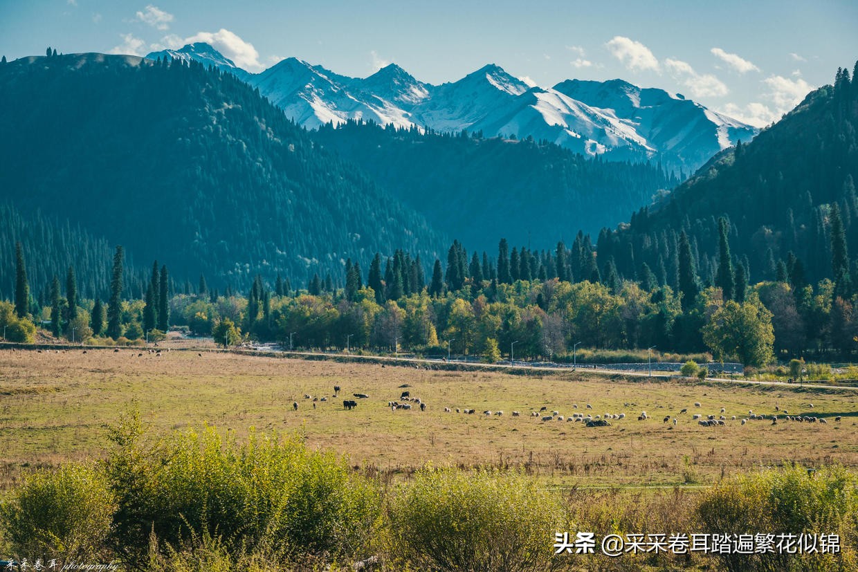 自驾新疆，夏秋伊犁怎么玩？快跟我云游发掘深度旅行小众目的地