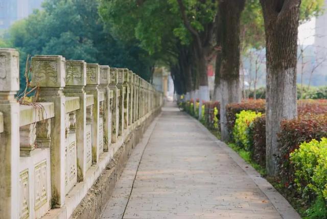 武昌理工学院究竟有多美？一组图告诉你什么才是湖景校园